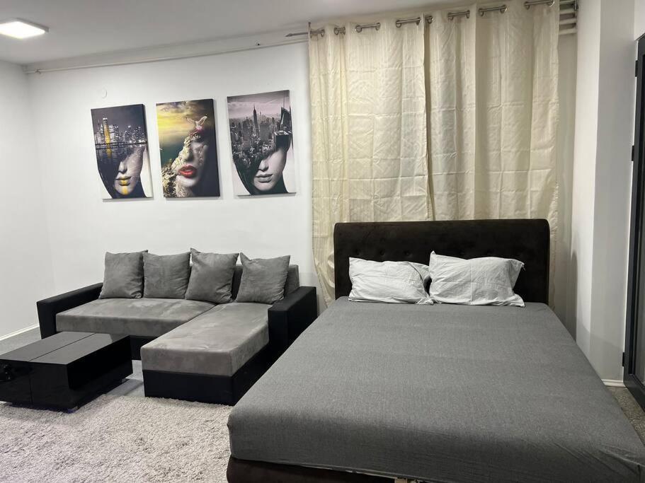 Apartmán Dorcol Lux Studio Bělehrad Exteriér fotografie
