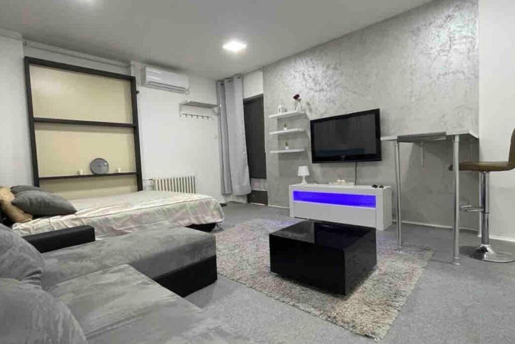 Apartmán Dorcol Lux Studio Bělehrad Exteriér fotografie