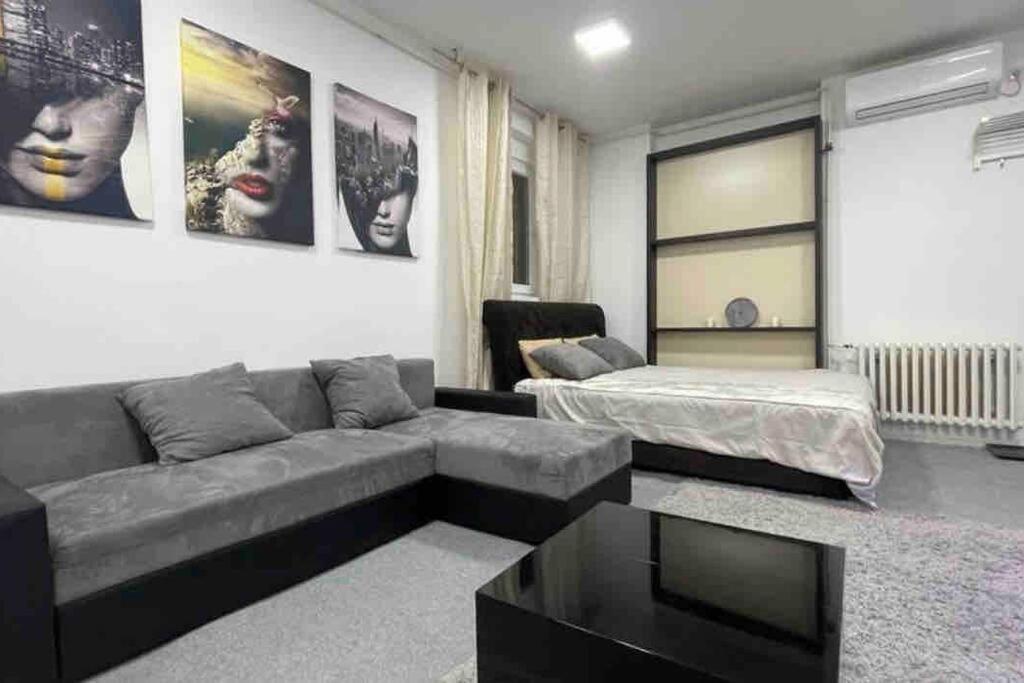 Apartmán Dorcol Lux Studio Bělehrad Exteriér fotografie